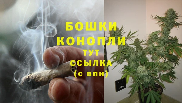 ECSTASY Иннополис